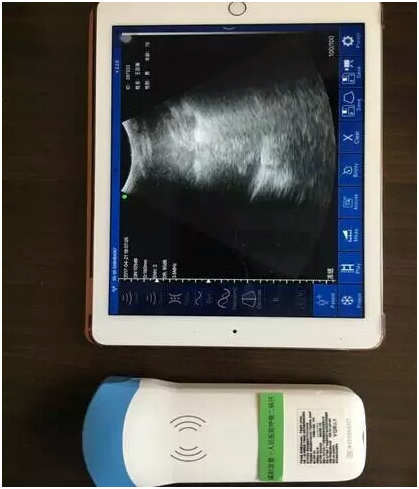 1642573862395567.png 咸阳2.png