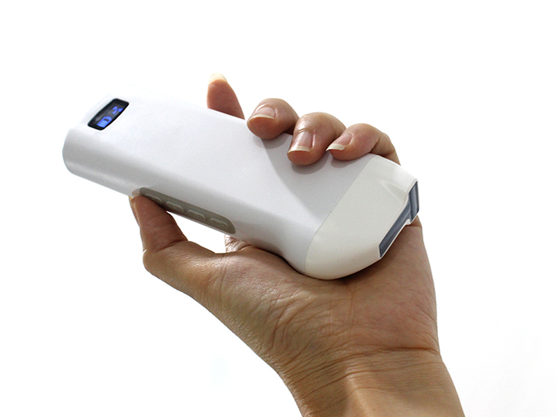 6LT线阵T型双平面探头是掌上彩超