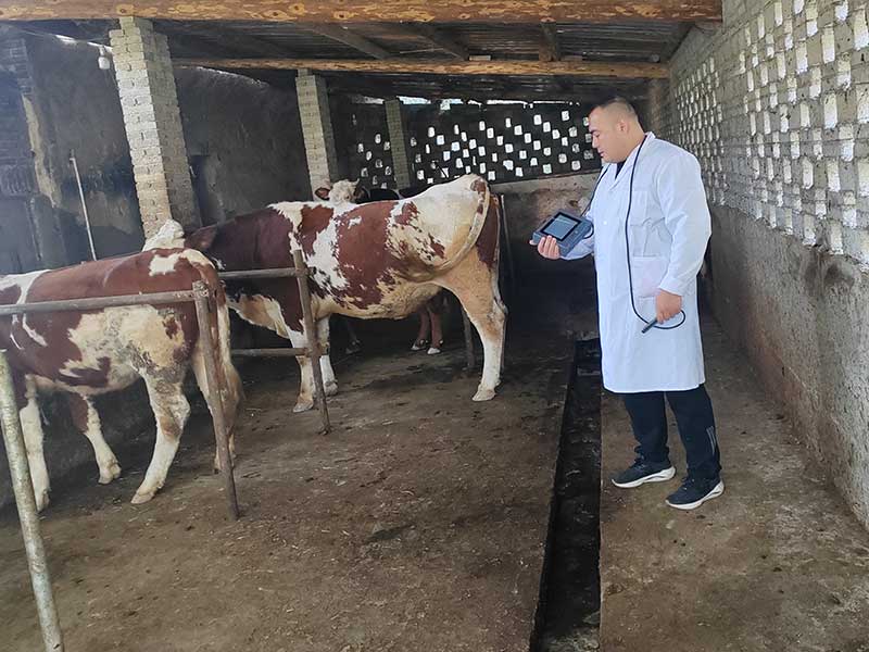 2024112112712173.jpg 17.jpg