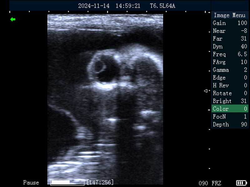 2024112128444892.jpg 100.jpg