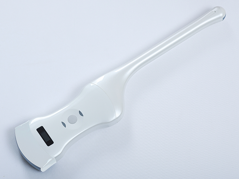 2025090491186129.jpg 00.jpg